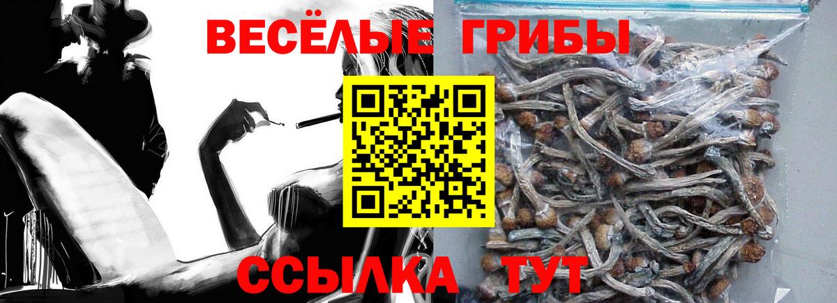 Галлюциногенные грибы Cubensis  Галлюциногенные грибы Cubensis  Вход с VPN  Можайск 